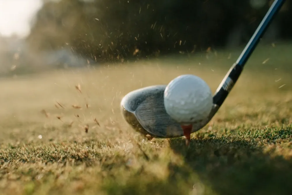 Chasing Birdies | The Lodge of Four Seasons